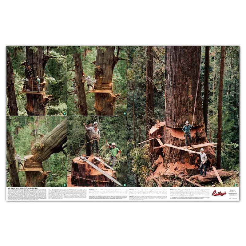 baileysonline202606041948012811726